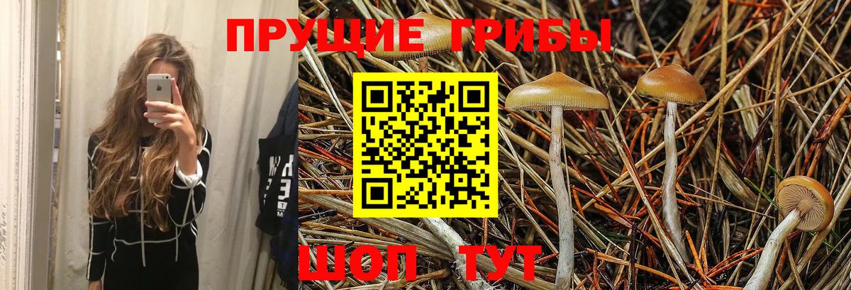Галлюциногенные грибы MAGIC MUSHROOMS  Галлюциногенные грибы Cubensis  Костомукша  Вход с VPN 