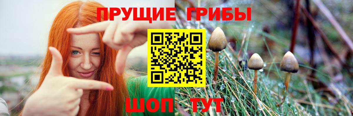 Галлюциногенные грибы Cubensis Костомукша